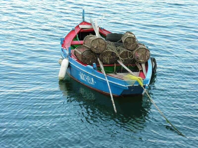 Fiesta de la dorna en Ribeira, Galicia