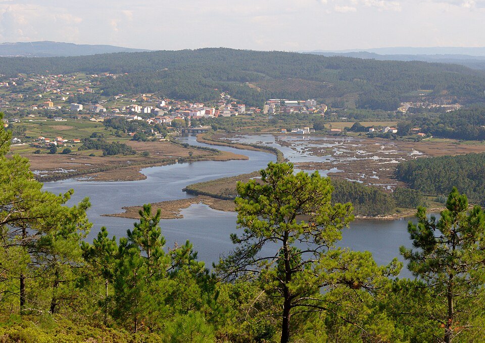 Ponteceso, fiesta del percebe