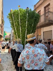 Cosieters transportando una albahaca gigante en la Festa de les Alfàbegues de Bétera en 2025