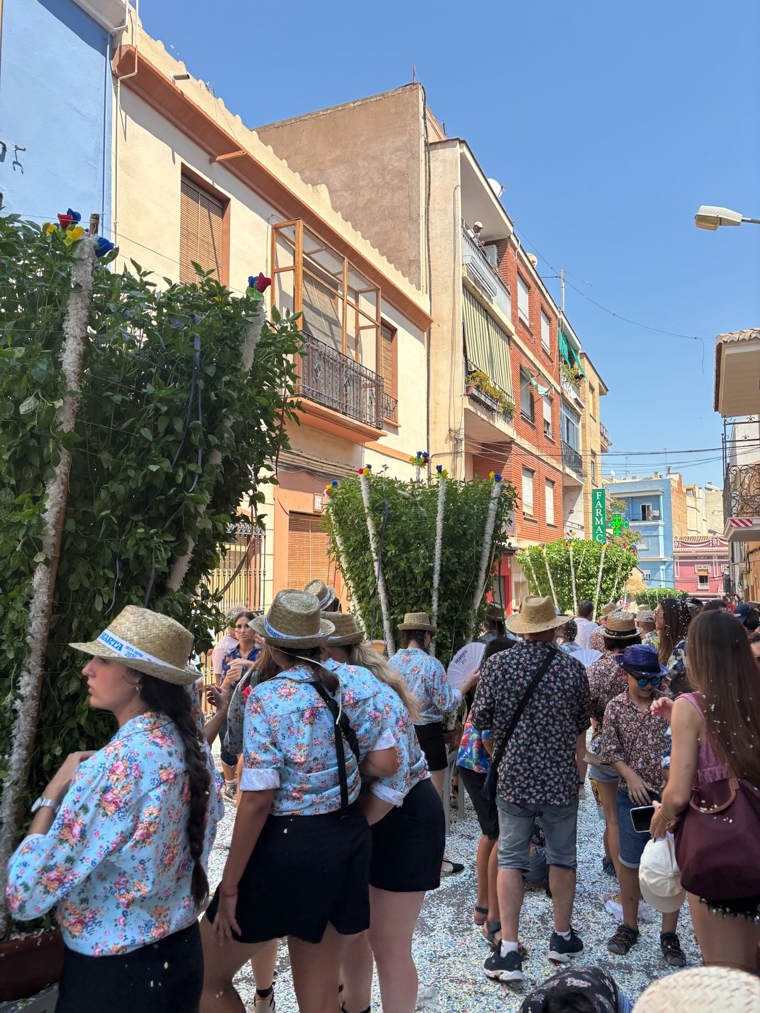 Procesión popular con albahacas gigantes por las calles de Bétera en 2025