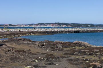Puerto de Vilanova de Arousa, municipio de la Fiesta del Mejillón y del Berberecho