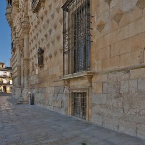 Detalle de la fachada del Palacio del Infantado de Guadalajara